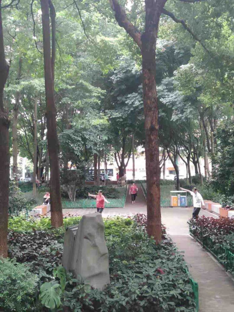 two people practice tai chi in a park in China