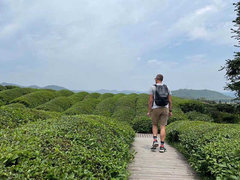 In this picture, Nic is standing in a tea field in Jiangxi