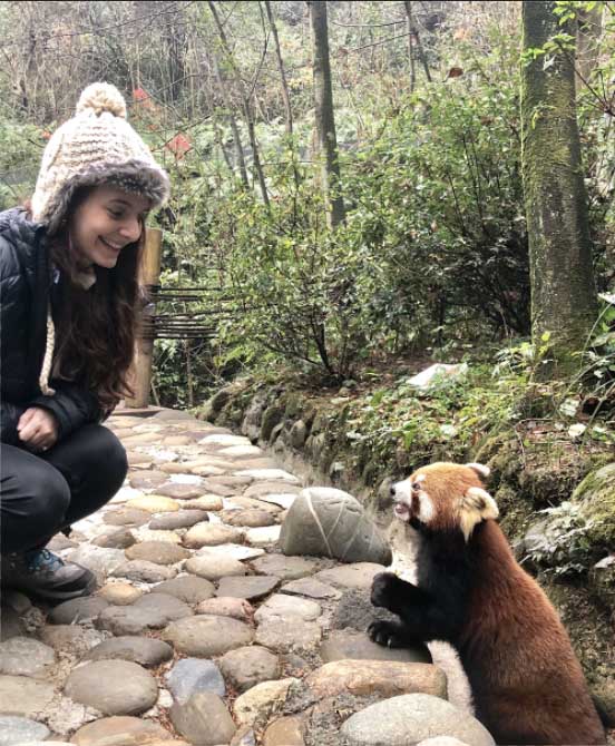 A young smiley girl squats to look closer at a small red panda that seems to be having a conversation with her.