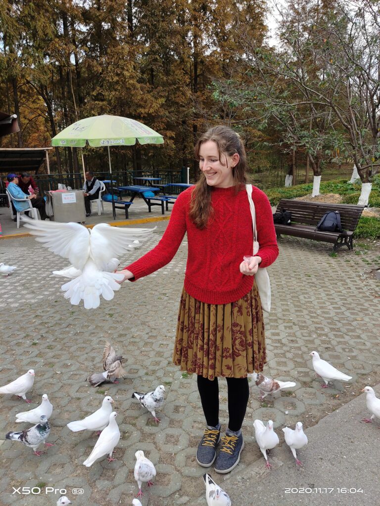 Doves in Century Park