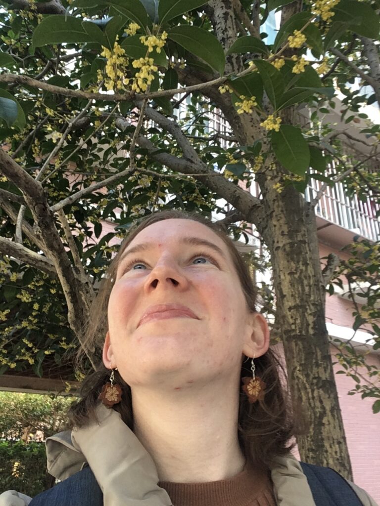 Osmanthus Flowers